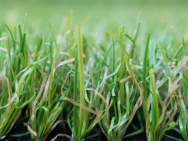 Trulawn Leisure Artificial Grass