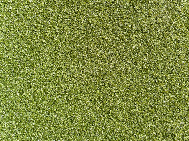 Trulawn Proputt Artificial Grass