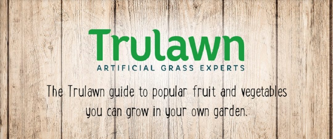 240718 Trulawn Fruit Veg Infographic Short