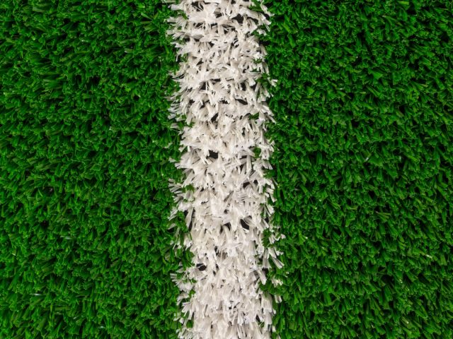Trulawn MultiSport with line Artificial Grass