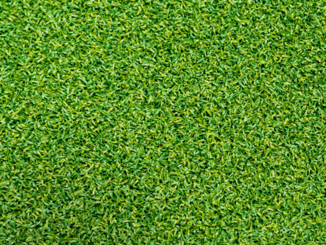 Truputt Artificial Grass