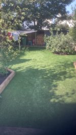 Customer submitted review of lawn image