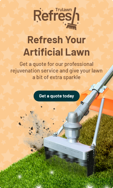 Get a quote for our professional rejuvenation service and give your lawn a bit of extra sparkle