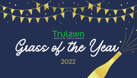 Grass of the Year - Blog Banner
