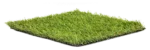 pooch grass