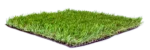 prestige grass
