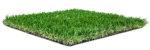 supreme grass
