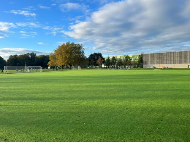 Artificial Grass School Field