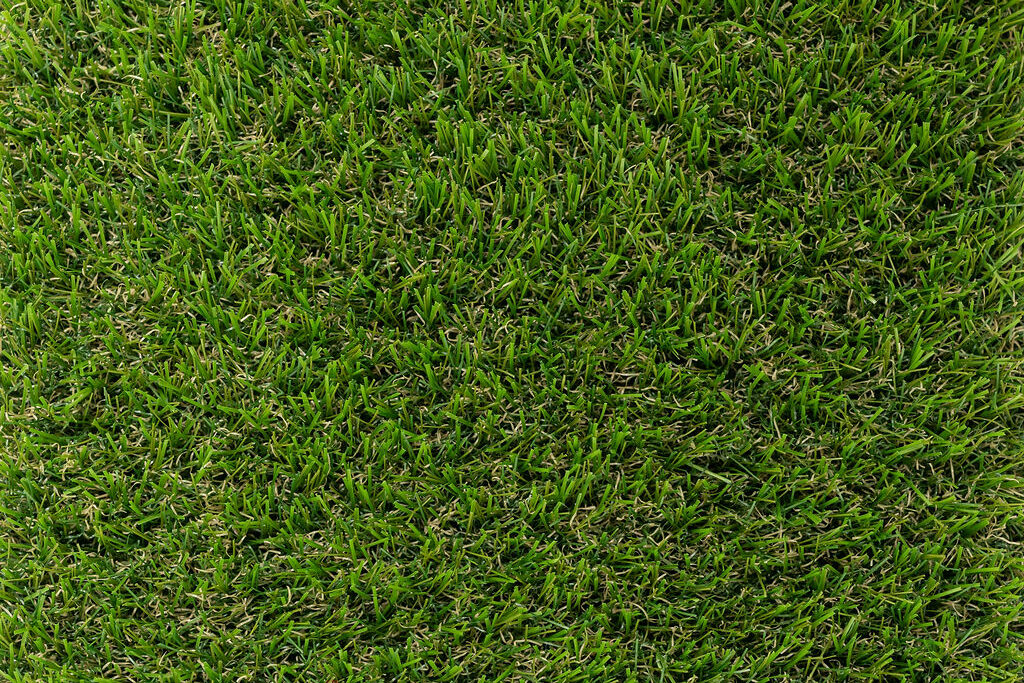 Artificial grass for playing on