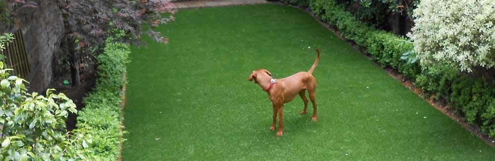 Artificial grass for dogs