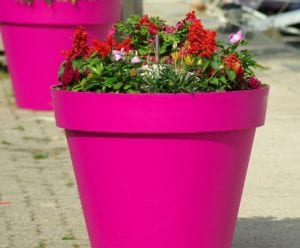 brightly coloured flower pot