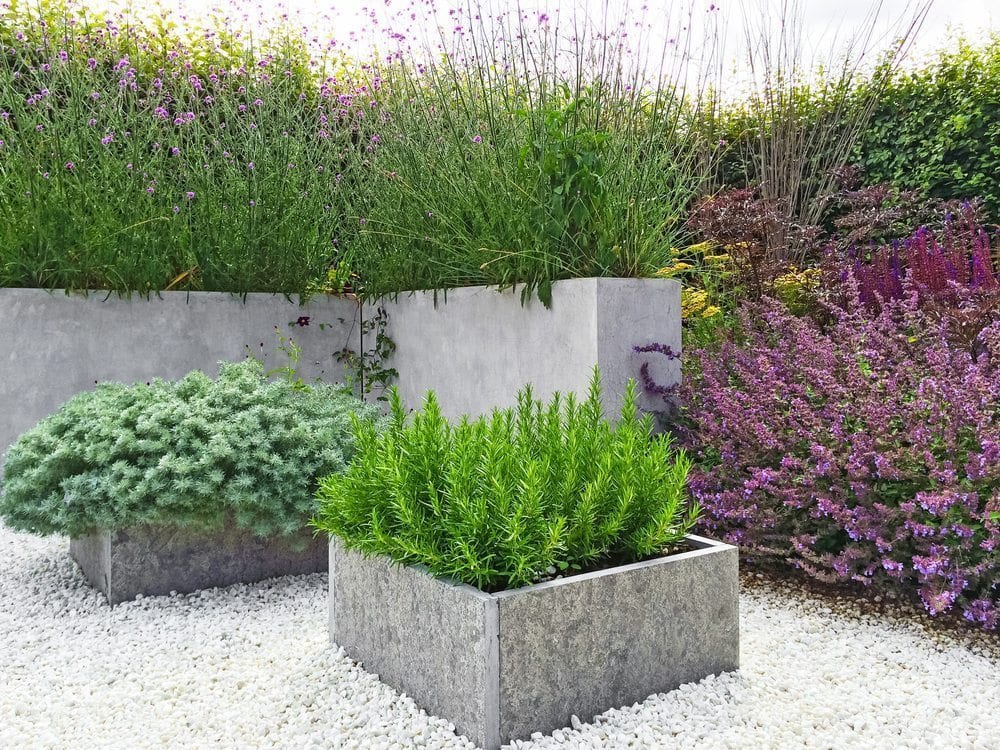 Plant Containers