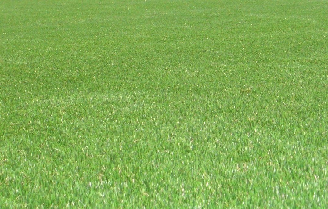 artificial grass benefits