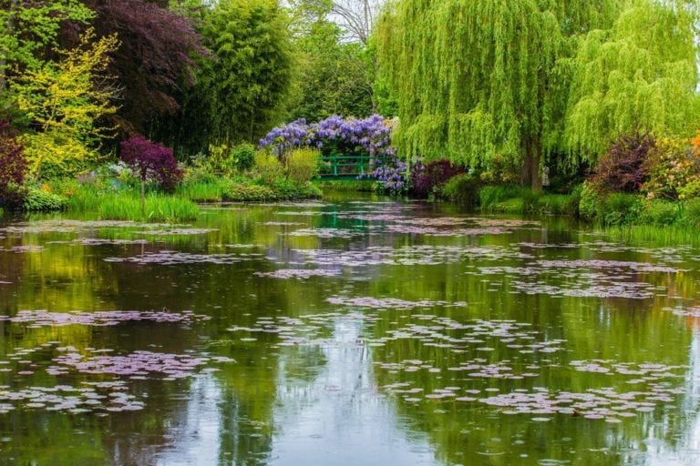 Monet garden pond